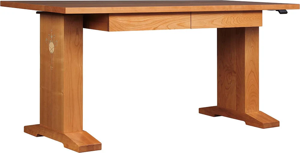 Hi-Lo Standing Desk - Image 2